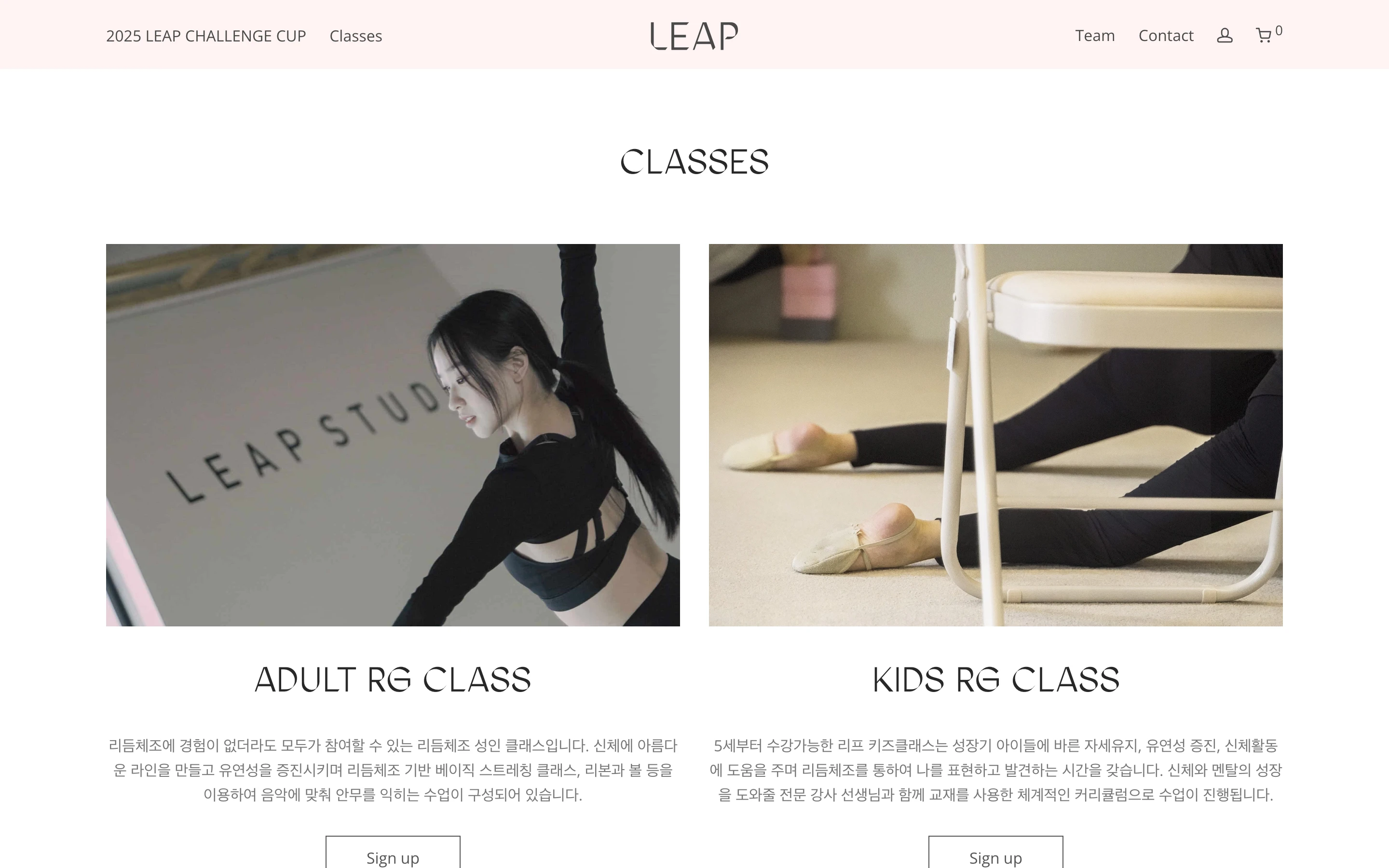 Leap Studio detail